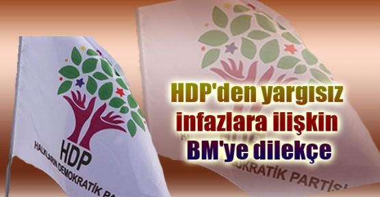 HDP'den yargısız infazlara ilişkin BM'ye dilekçe