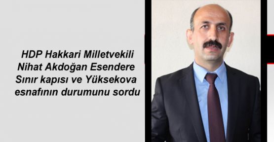 HDP'li Akdoğan Esendere Sınır kapısı ve Yüksekova esnafının durumunu sordu