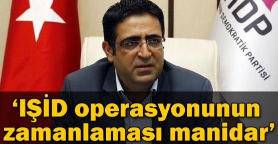 HDP'li Baluken: 'IŞİD operasyonunun zamanlaması manidar'