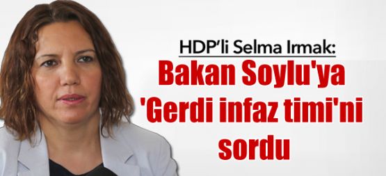HDP'li Irmak Bakan Soylu'ya 'Gerdi infaz timi'ni sordu