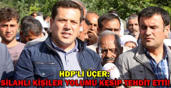 HDP'li Üçer: Silahlı kişiler yolumu kesip tehdit etti!