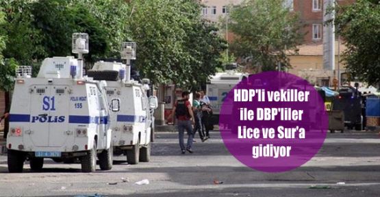 HDP'li vekiller ile DBP'liler Lice ve Sur'a gidiyor