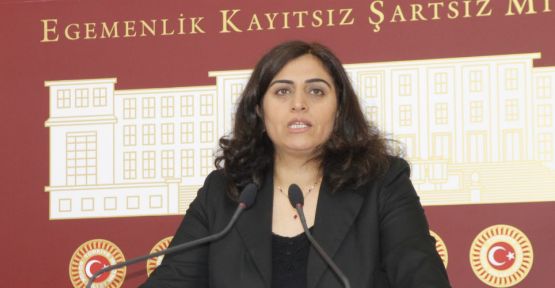 HDP'li vekiller: Meclis IŞİD saldırıları için toplansın