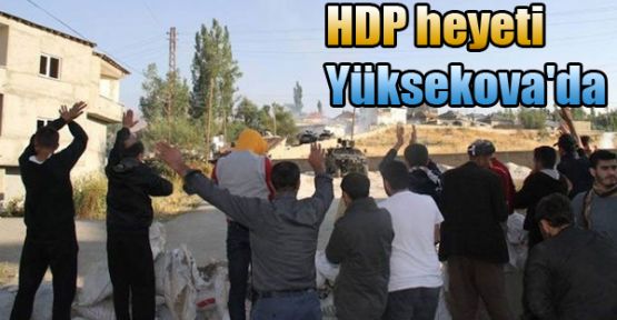 HDP'li vekiller Yüksekova'da