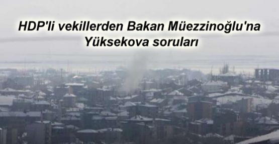 HDP'li vekillerden Bakan Müezzinoğlu'na Yüksekova soruları