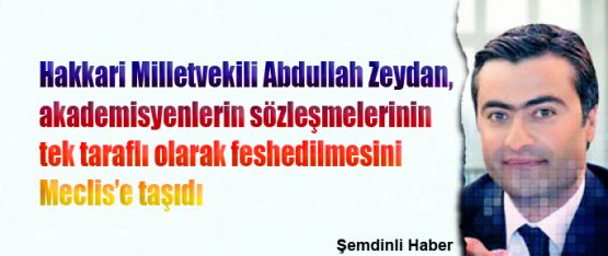 HDP'li Zeydan akademisyenlerle ilgili soru önergesi verdi