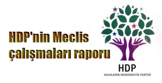 HDP'nin Meclis çalışmaları raporu
