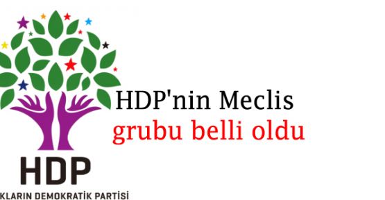 HDP'nin Meclis grubu belli oldu