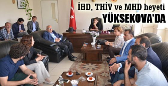 İHD, THİV ve MHD heyeti Yüksekova'da