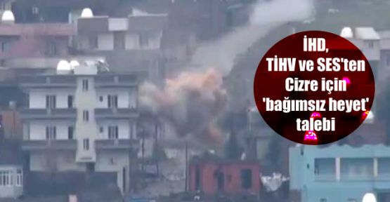 İHD, TİHV ve SES'ten Cizre için 'bağımsız heyet' talebi