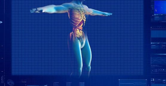 İnsanda yeni bir organ bulundu!