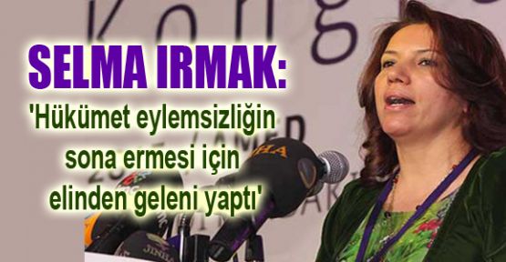 Irmak: 'Hükümet eylemsizliğin sona ermesi için elinden geleni yaptı'