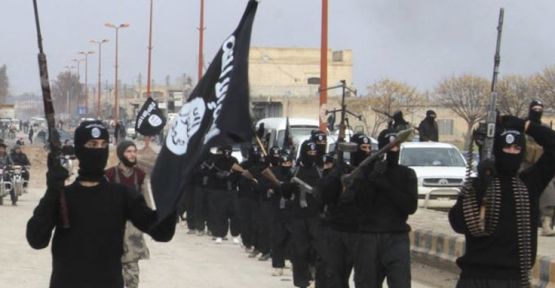 IŞİD bomba yüklü iki inekle saldırdı