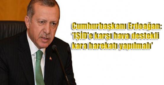 'IŞİD'e karşı hava destekli kara harekatı yapılmalı'