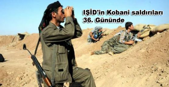 IŞİD'in Kobani saldırıları 36. Gününde