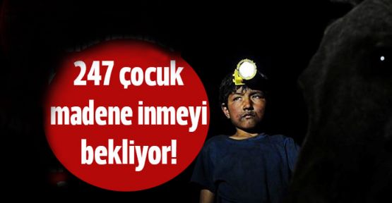 İşkur'da kayıtlı 247 çocuk madene inmeyi bekliyor