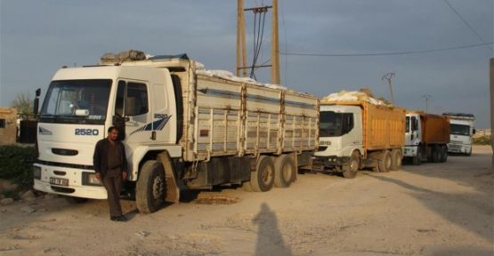 Ji Şaredariya Bedlîsê alîkariya Kobanê