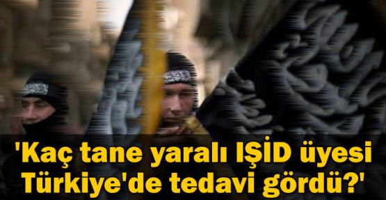 'Kaç tane yaralı IŞİD üyesi Türkiye'de tedavi gördü?'