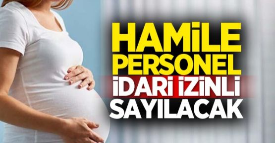 Kamuda hamile personel idari izinli sayılacak