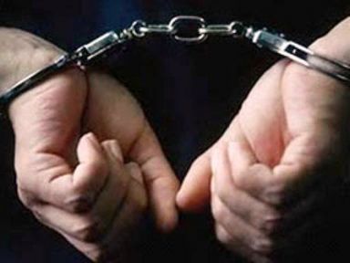 Karakoçan'da 5 kişi tutuklandı