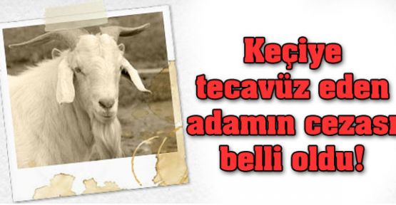 Keçiye tecavüz eden adama hapis
