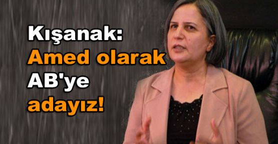 Kışanak: Amed olarak AB'ye adayız