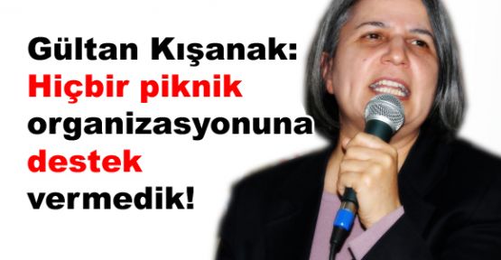 Kışanak: 'Hiçbir piknik organizasyonuna destek vermedik'