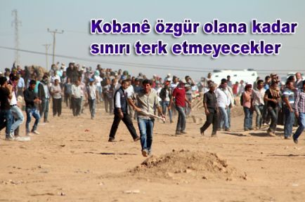 Kobani özgür olana kadar sınırı terk etmeyecekler
