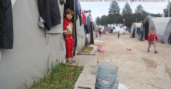 Kobani'nin asi çocukları!