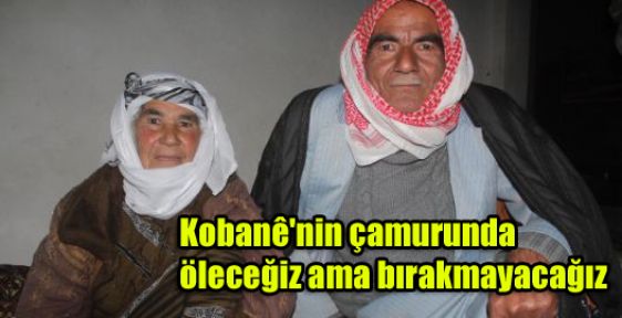 Kobani'nin çamurunda öleceğiz ama bırakmayacağız