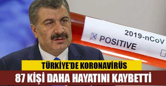 Türkiye'de koronavirüsten ölenlerin sayısı 87 artarak 812'ye yükseldi