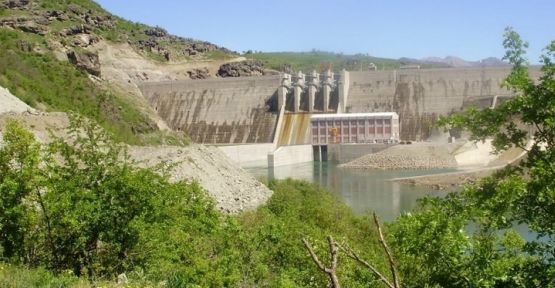 Köyüne hapsedilen Dersimli çift açlık grevine başlıyor