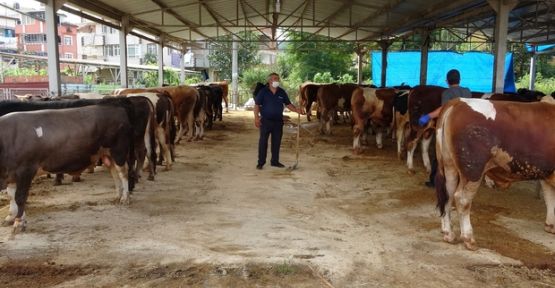 Kurbana korona etkisi: Satışlar arttı