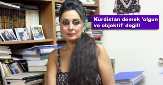 Eren Keskin: 'Kürdistan demek 'olgun ve objektif' değil!'