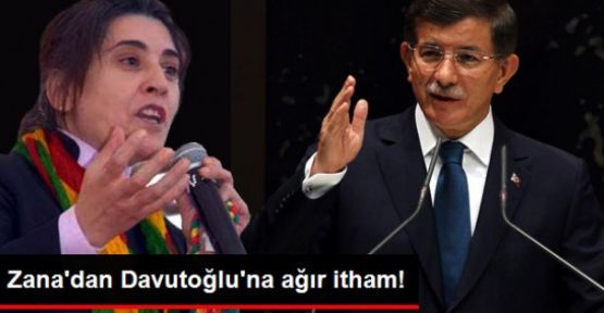 Leyla Zana: Ey Başbakan! Sen Baykuş Olmaya Devam Et