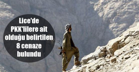 Lice'de PKK'lilere ait olduğu belirtilen 8 cenaze bulundu