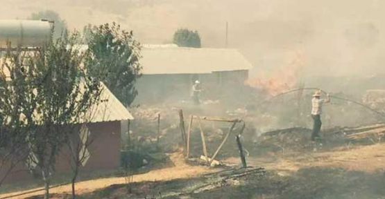 Lice'deki yangın kontrol altında alındı