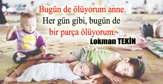 Ma êdî ne bese loo?