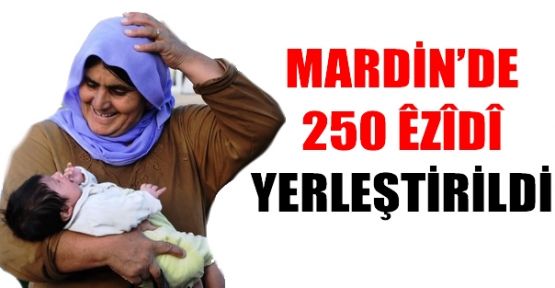 Mardin'de 250 Ezidi yerleştirildi