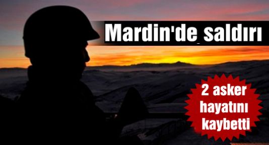 Mardin'de 2 asker hayatını kaybetti