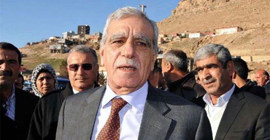 Mardin'de Ahmet Türk kazandı