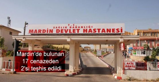 Mardin'de bulunan 17 cenazeden 2'si teşhis edildi