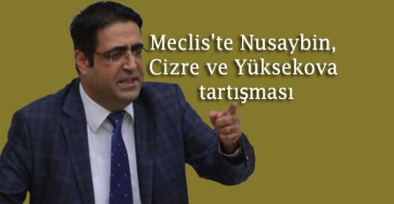 Meclis'te Nusaybin, Cizre ve Yüksekova tartışması