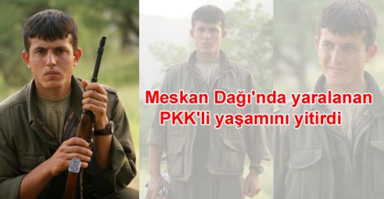 Meskan Dağı'nda yaralanan PKK'li yaşamını yitirdi