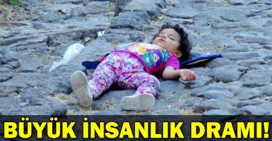 Midilli'de büyük insanlık dramı