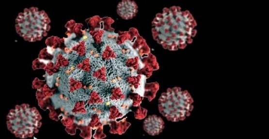 Mutasyon araştırması: Virüs artık Wuhan'dakinden daha bulaşıcı