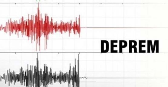 Nepal'deki depremde en az 876 ölü