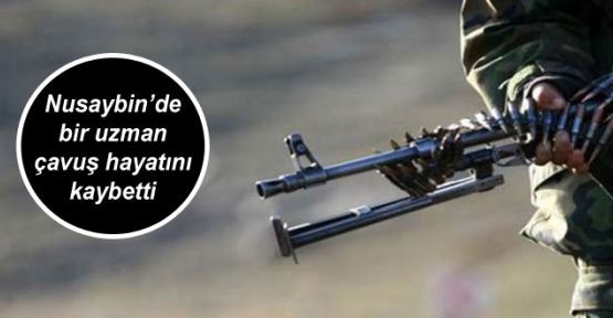 Nusaybin'de bir uzman çavuş hayatını kaybetti