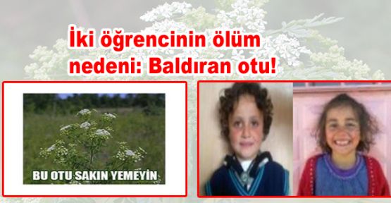 Ölüm nedenleri baldıran otu!