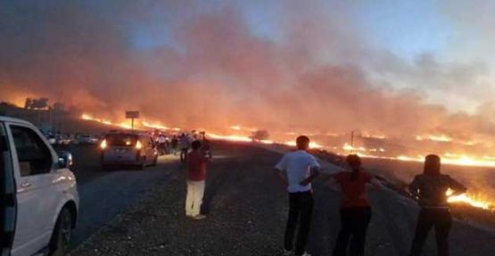 Orman yangınları Lice'ye sıçradı